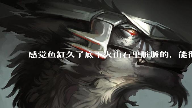 感觉鱼缸久了底下火山石里脏脏的，能彻底换水清理一遍不？
