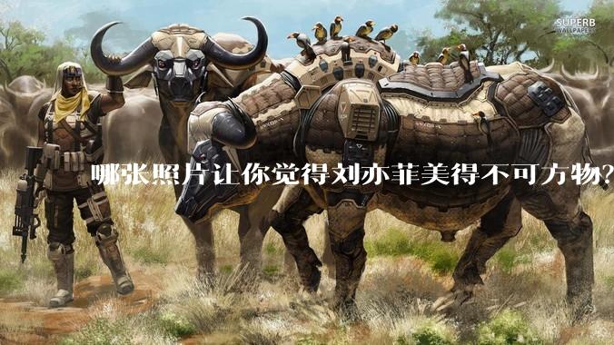 哪张照片让你觉得刘亦菲美得不可方物？